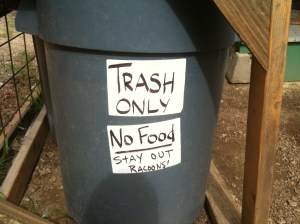 Nood food for Raccoons