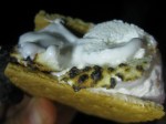 Smores!
